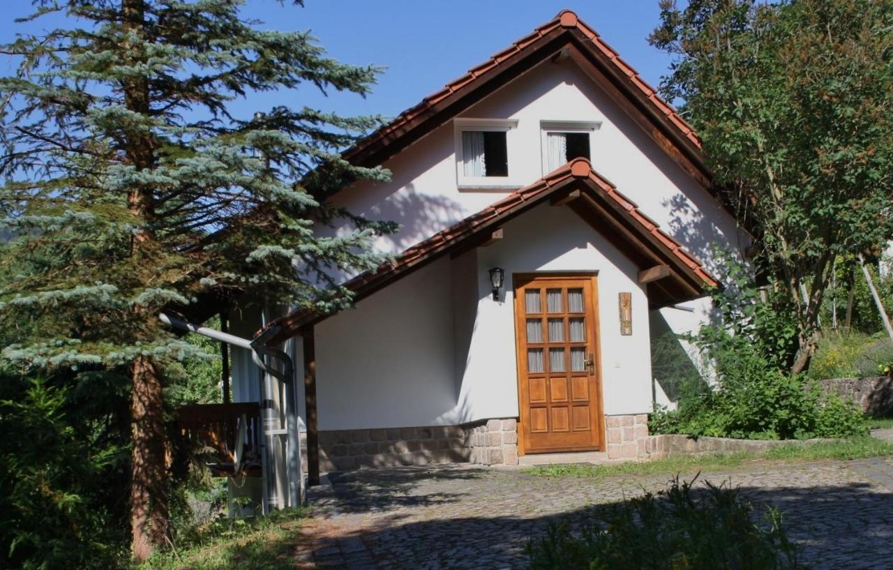 Ferienhaus "Am Schleifenbach" Saalfeld Saale Exterior photo